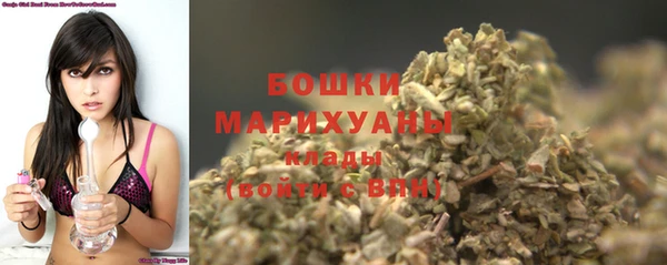 стаф Нея