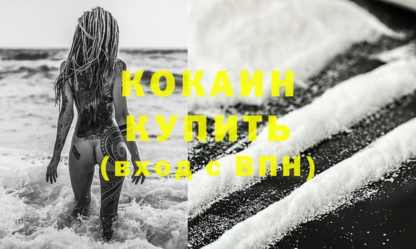 стаф Нея