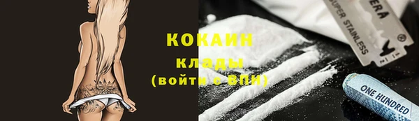 стаф Нея