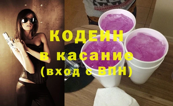 стаф Нея