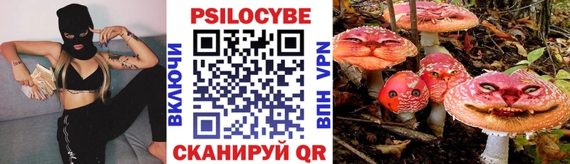 магазин    это состав  Псилоцибиновые грибы Psilocybine cubensis  Нарьян-Мар 