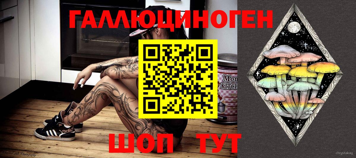 Галлюциногенные грибы Psilocybe Нарьян-Мар