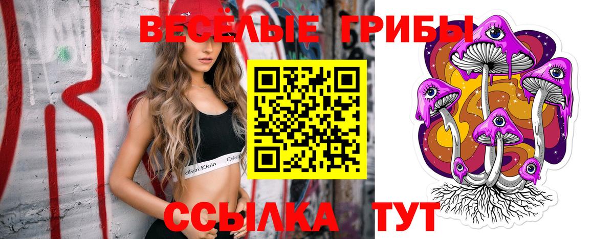 магазин  наркотиков  Нарьян-Мар  Галлюциногенные грибы Psilocybine cubensis 