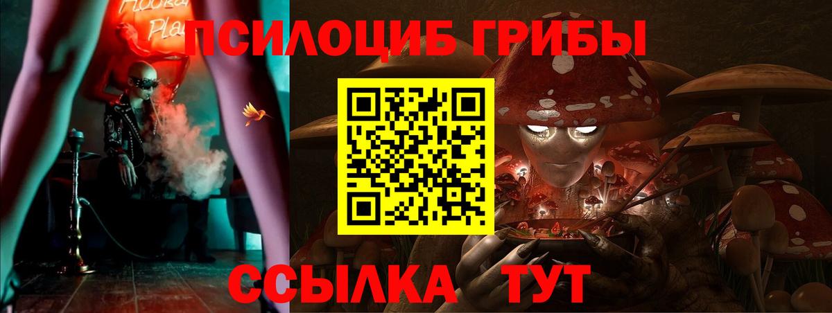 Галлюциногенные грибы мухоморы  что такое наркотик  Нарьян-Мар  Вход с VPN 